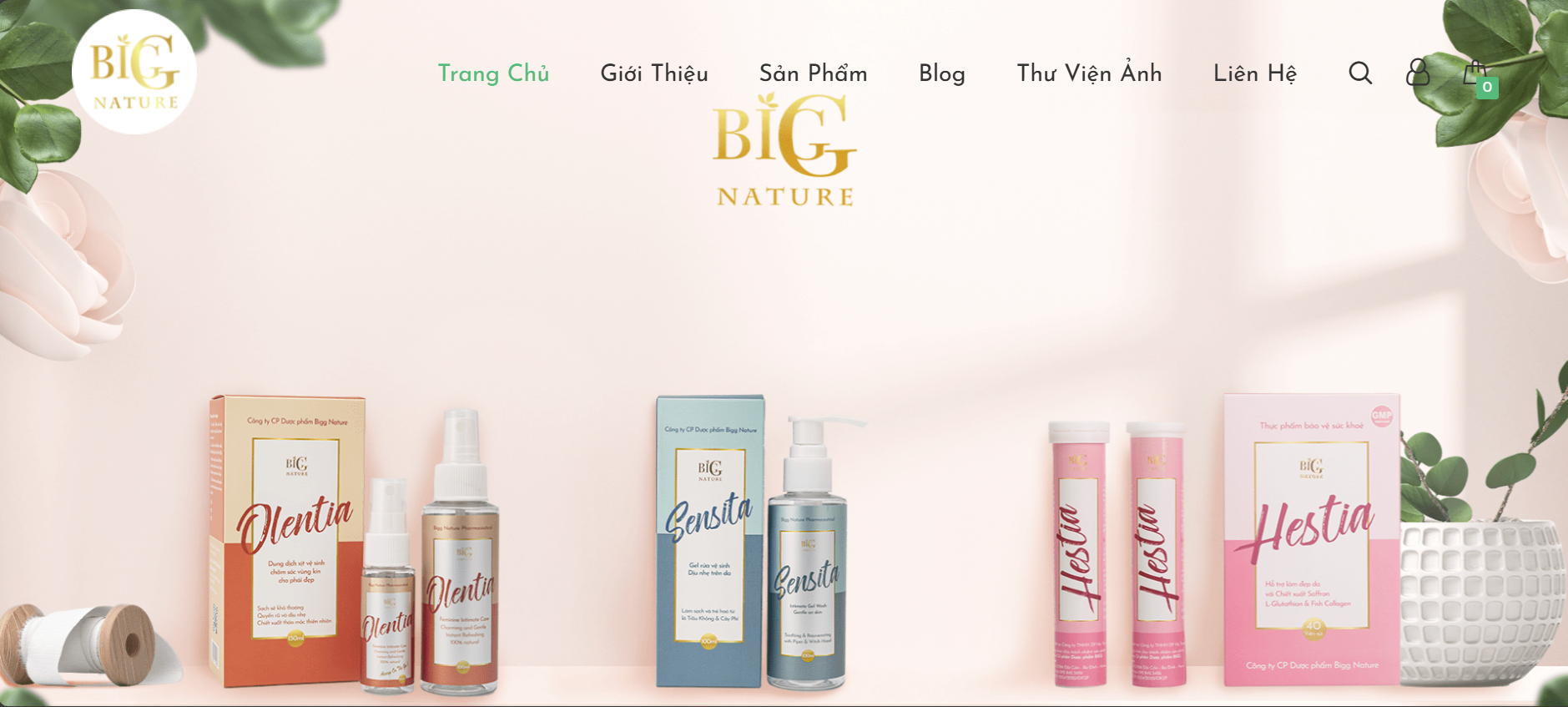 Ảnh thumbnail dự án Mỹ Phẩm BIGG